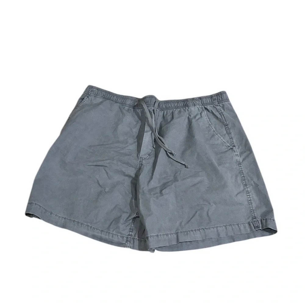 American Eagle Gray Flat Front Shorts with Relaxed Fit - Picture 4 of 7